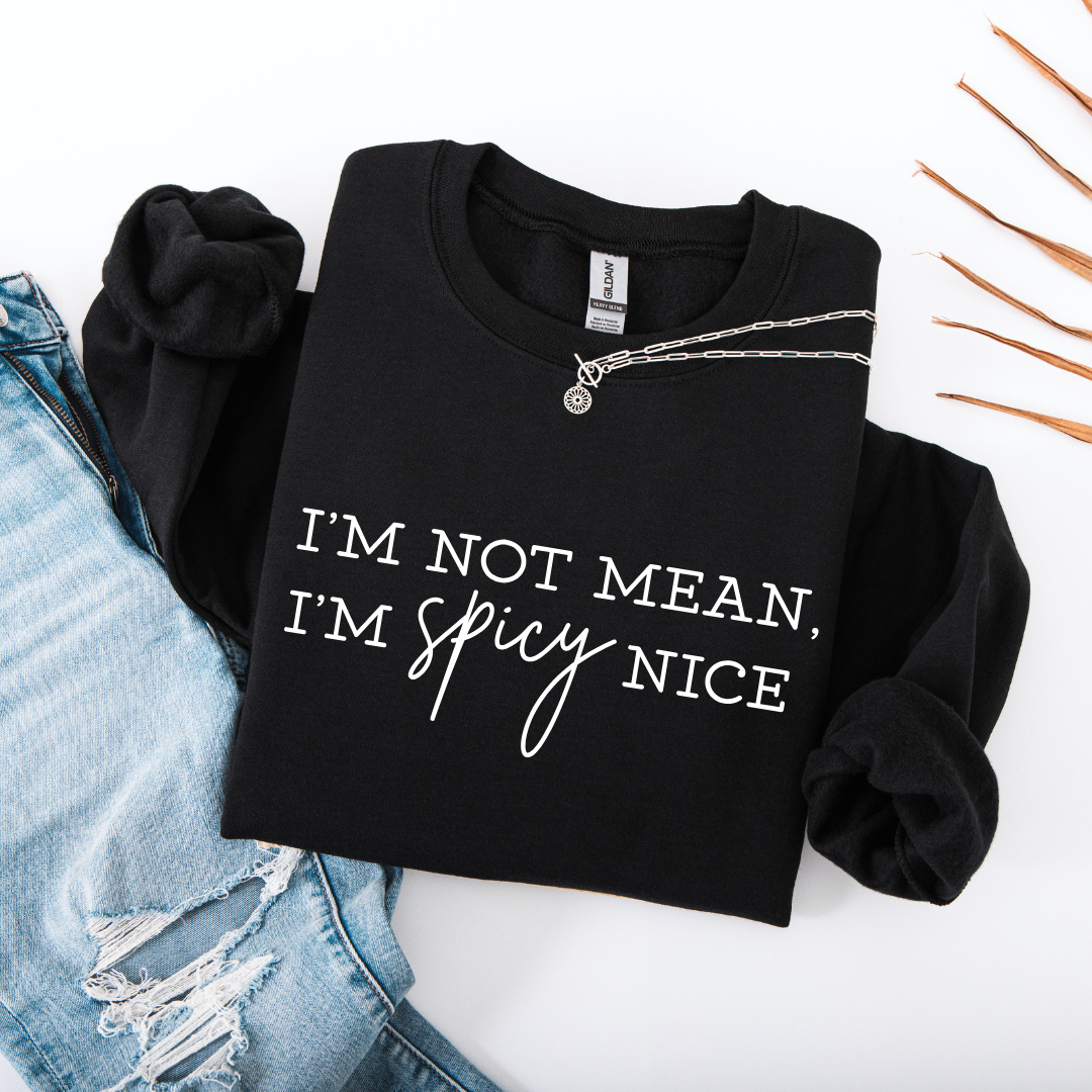 Spicy Nice Tees/Crewnecks/Hoodies