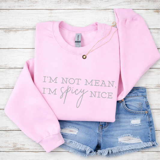 Spicy Nice Pink Crewnecks