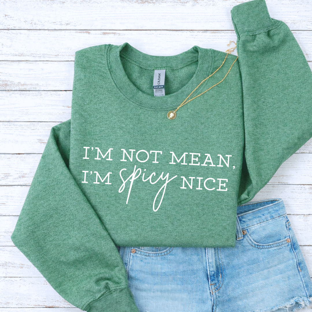 Spicy Nice Tees/Crewnecks/Hoodies