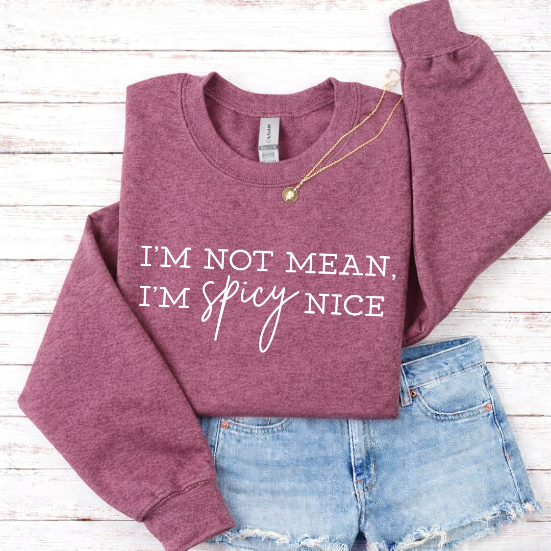 Spicy Nice Tees/Crewnecks/Hoodies